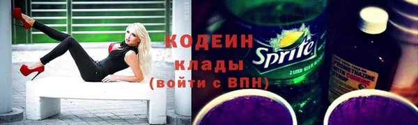 PSILOCYBIN Киренск