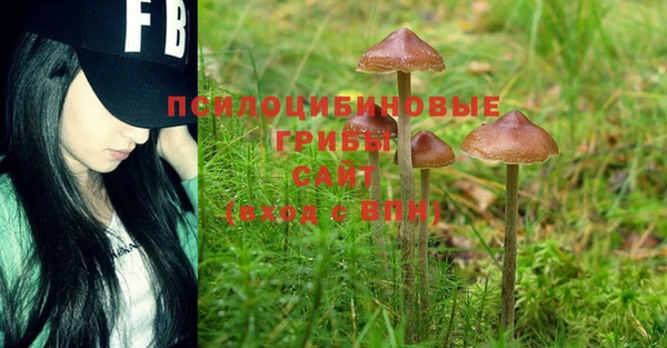 PSILOCYBIN Киренск