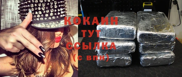 PSILOCYBIN Киренск
