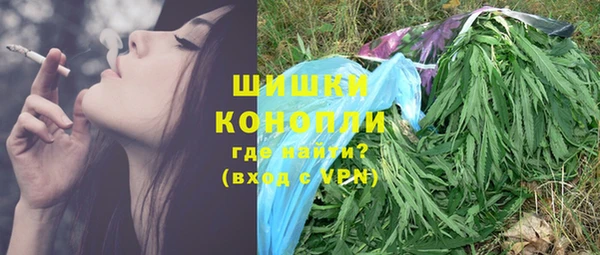PSILOCYBIN Киренск