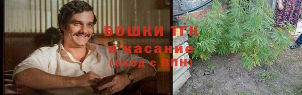 PSILOCYBIN Киренск